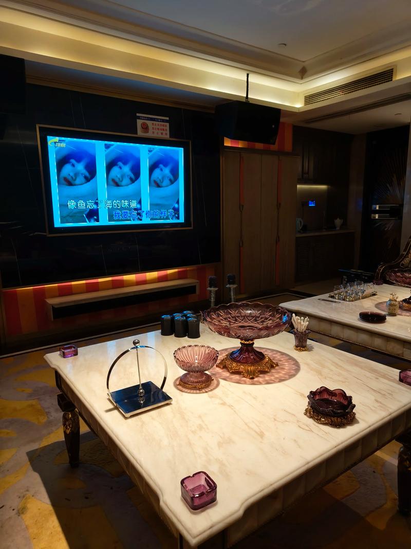 汕尾商务ktv模式共赏-海丰县ktv预定